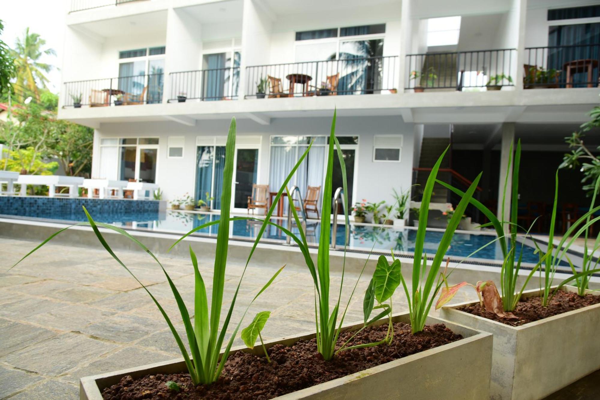 Di Sicuro Tourist Inn Hikkaduwa Exterior photo